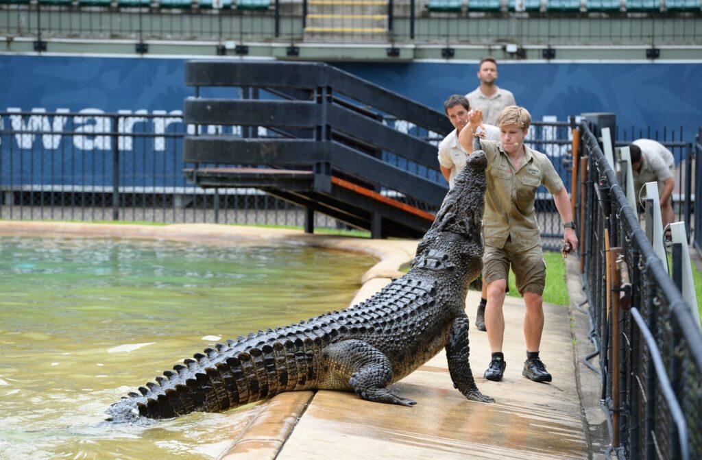 4700B_010321_Croc-Graham_AustraliaZoo-scaled