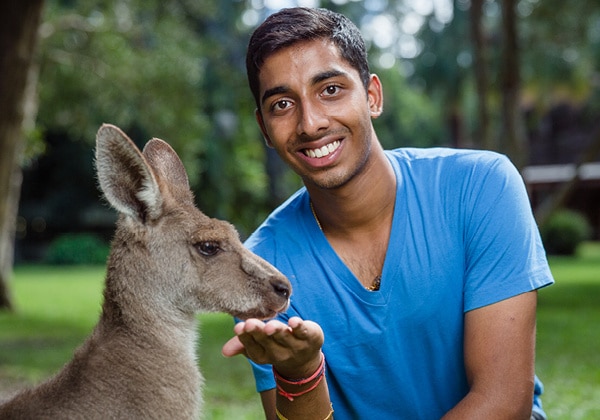 Kangaroo_2_660x420px-600x420