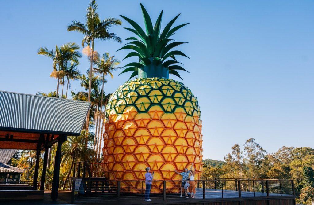 The Big Pineapple_Woombye_Jesse Lindemann (3)