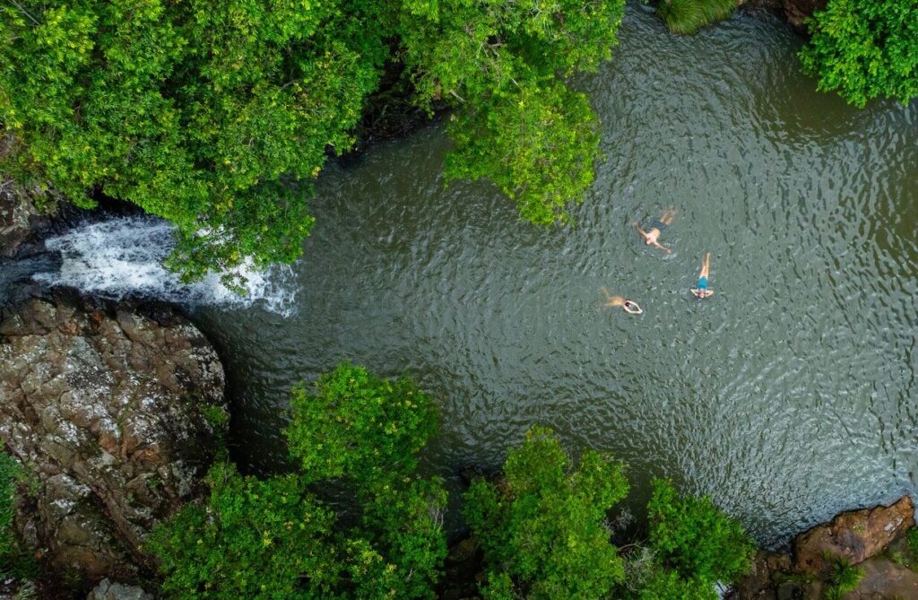 Wander rainforest hinterland escapes